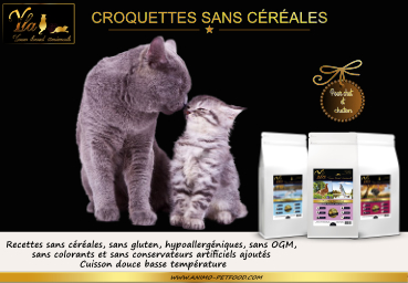 croquettes sans cereales pour chats