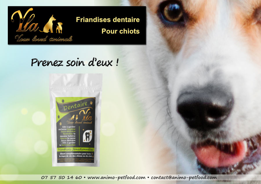 friandises dentaire naturelles pour chiot