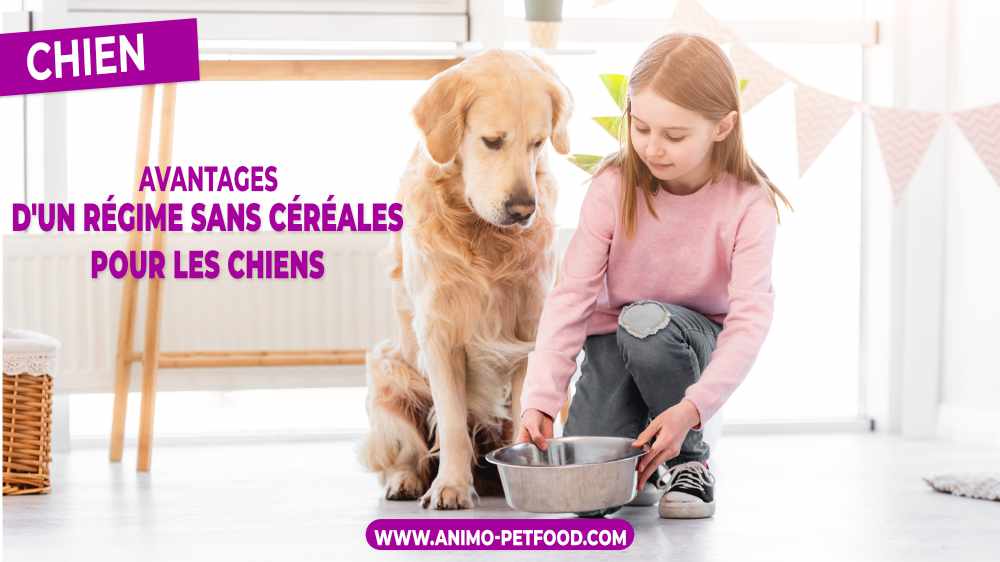 avantages-d-un-regime-sans-cereales-pour-chiens