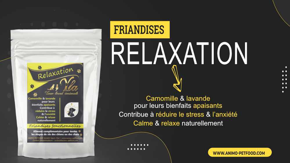 friandises anti stress pour chien