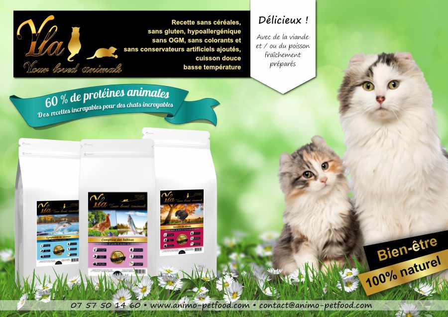 croquettes sans cereales pour chat et chaton