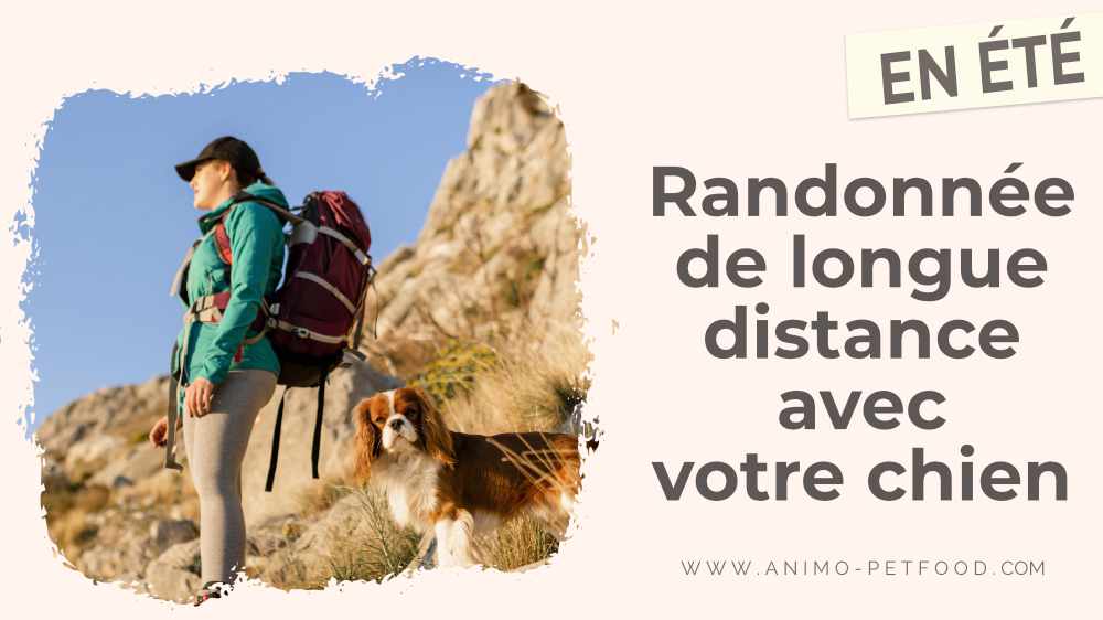 randonnee-de-longue-distance-avec-votre-chien