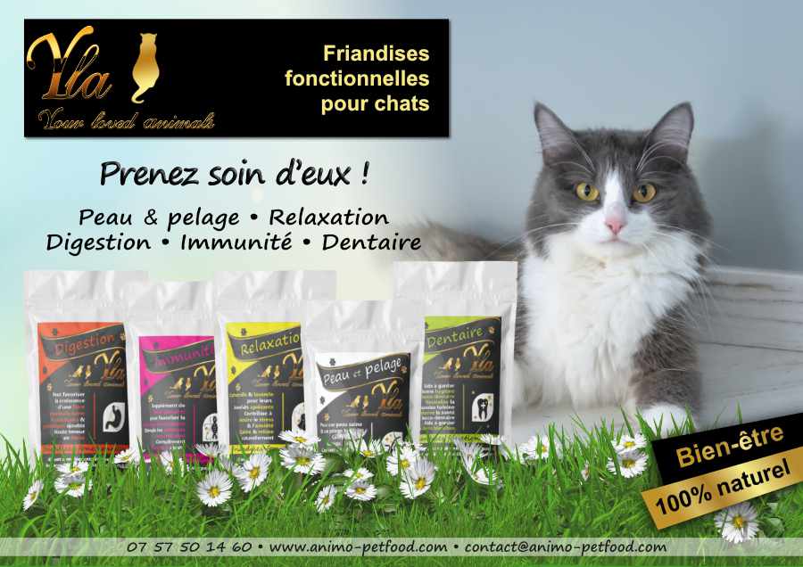 FRIANDISES FONCTIONNELLES POUR CHAT_PEAU ET PELAGE_DIGESTION _DENTAIRE_RELAXATION_IMMUNITE_friandises chaton