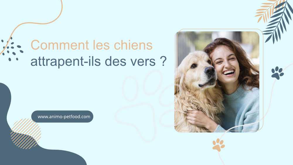 Comment les chiens attrapent-ils des vers