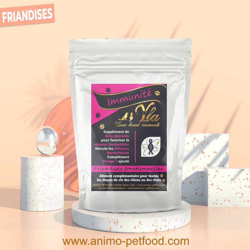 friandises immunité pour chien