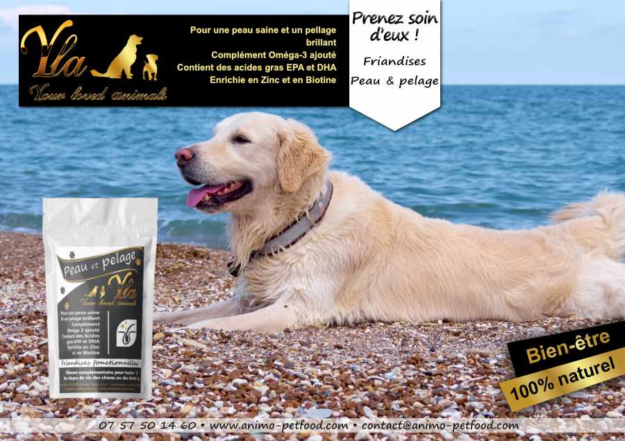 friandises peau et pelage pour chien