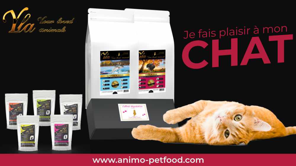 aliments-hypoallergeniques-pour-chat