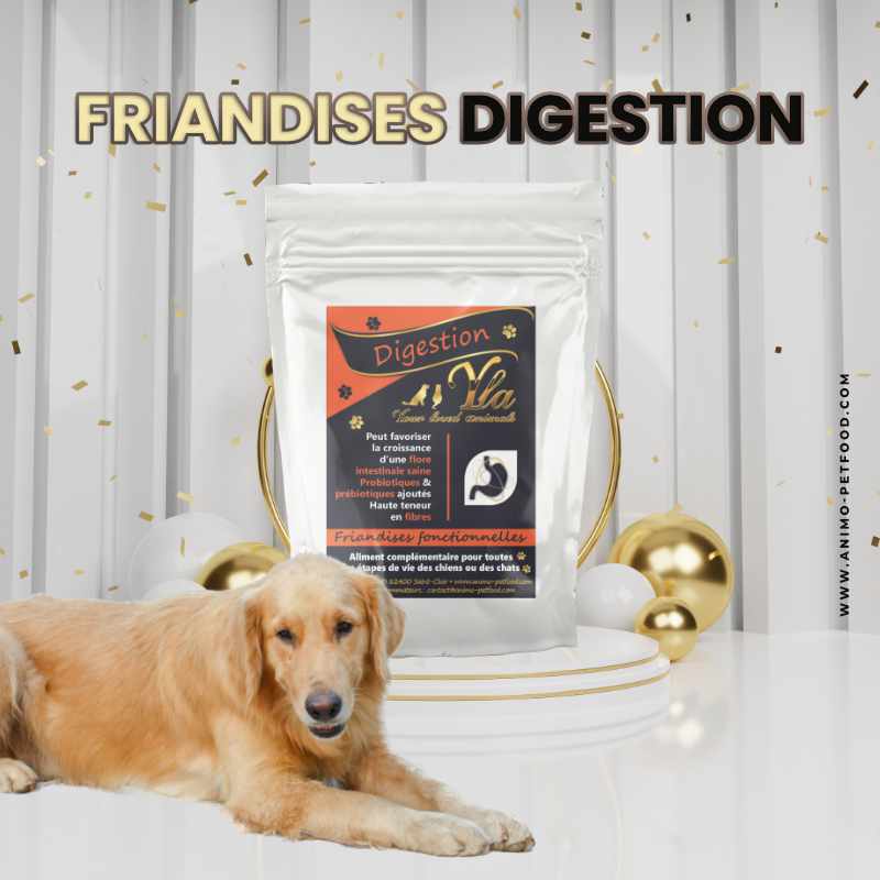 friandises-digestion-pour-chien