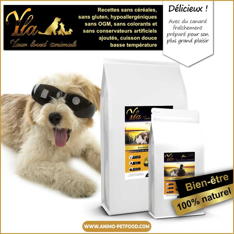 croquettes-sans-cereales-au-canard-pour-chien