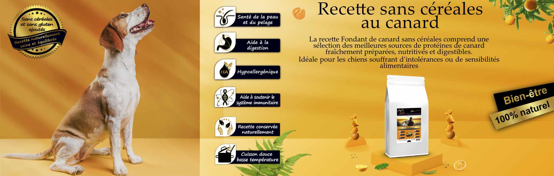 recette-au-canard-pour-chien-avec-intolerance-alimentaire