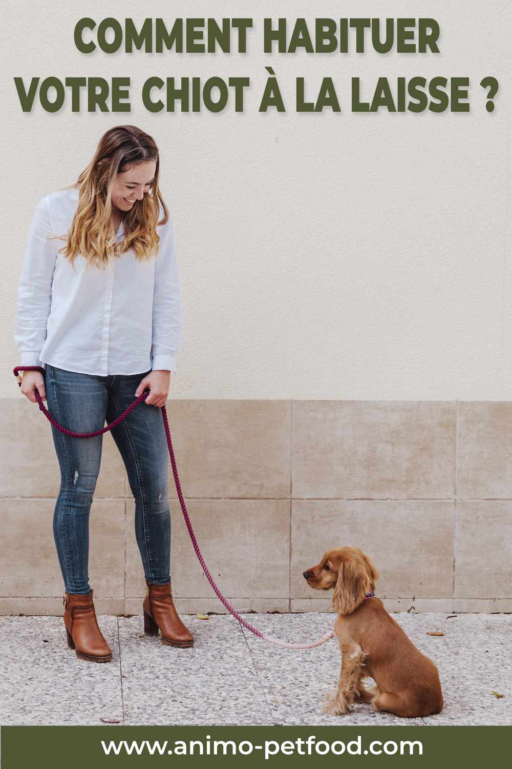 Le chiot et la laisse - Comment apprendre à un chiot à marcher en