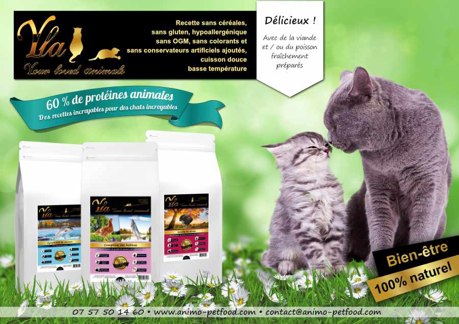 croquettes sans cereales pour chat_ croquettes naturelles chat