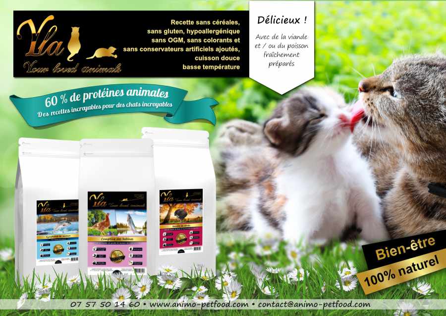 croquettes pour chat avec sensibilités