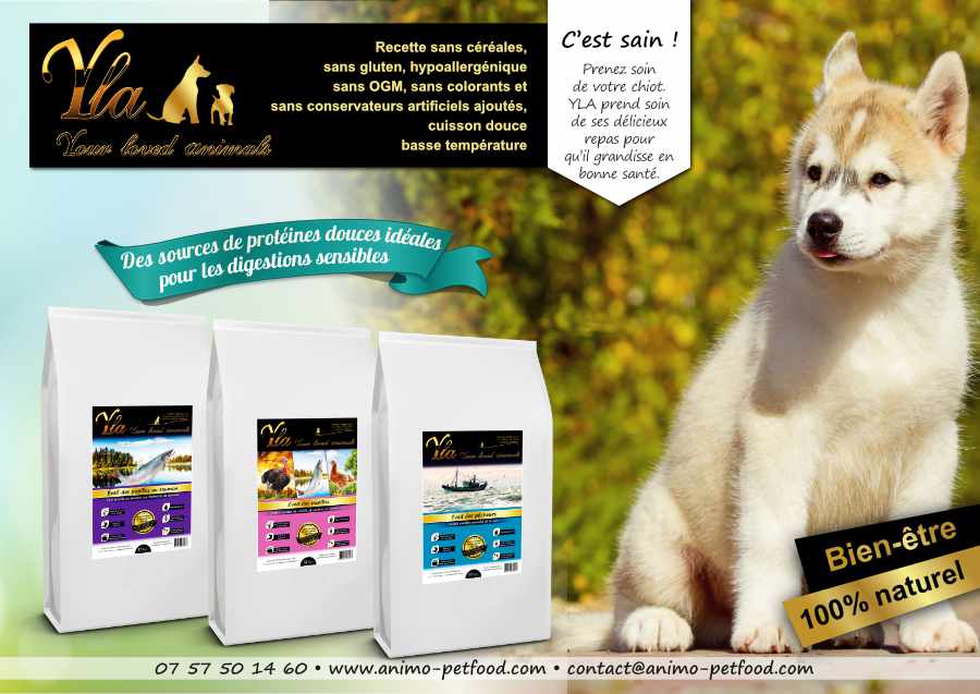 croquettes-hypoallergénique-pour-chiot