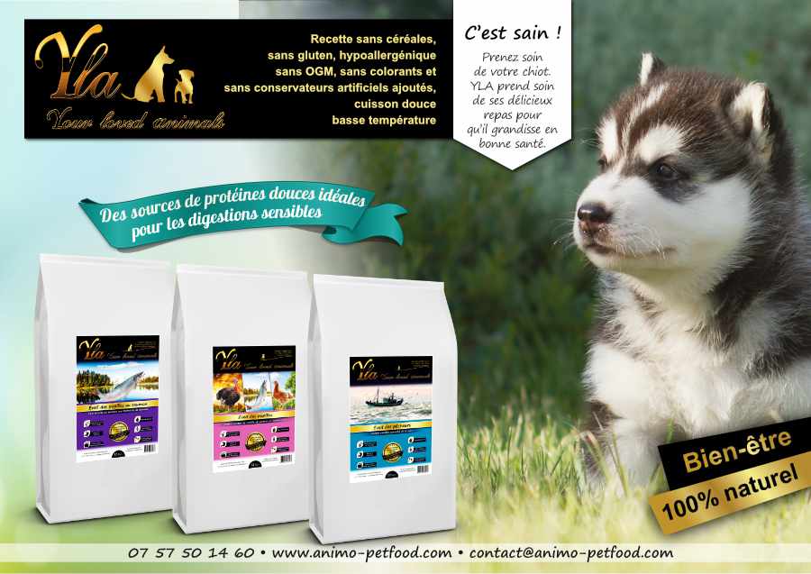 croquettes-sans-cereales-ni-gluten-pour-chiot