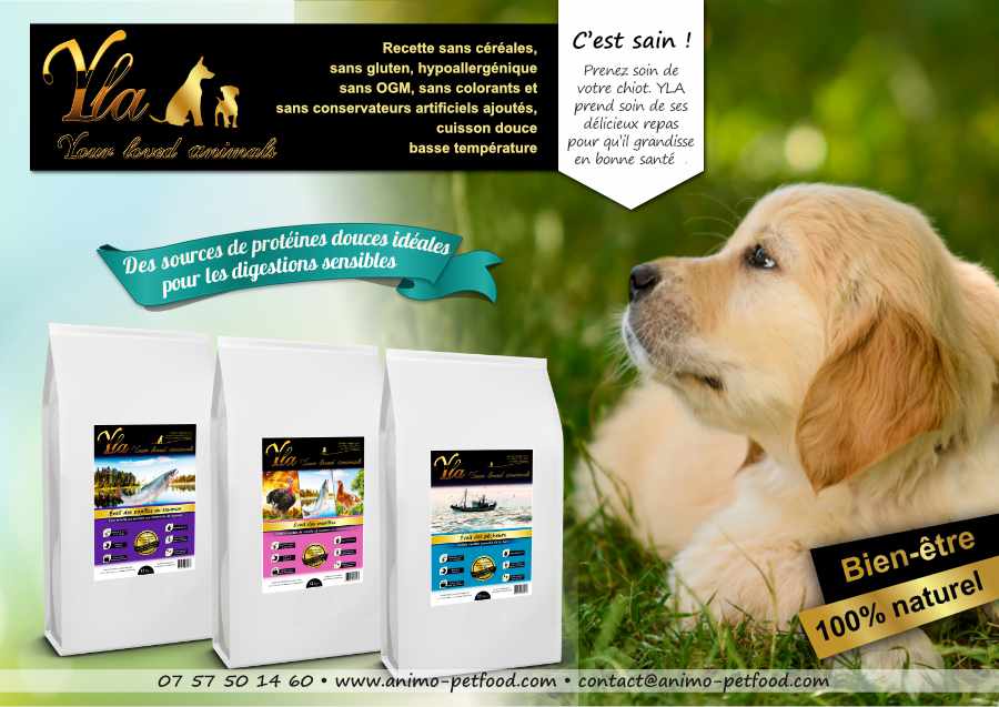 croquettes sans cereales pour chiots