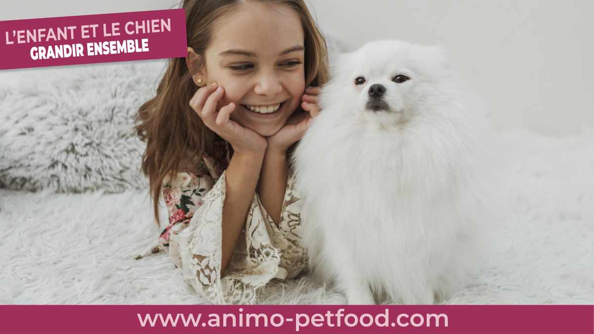 ENFANT CHIEN - RELATION ENFANT CHIEN- PREVENTION DES ACCIDENTS PAR MORSUR