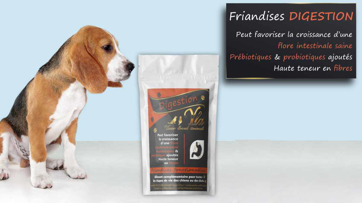 friandises-aide-digestion-pour-chien