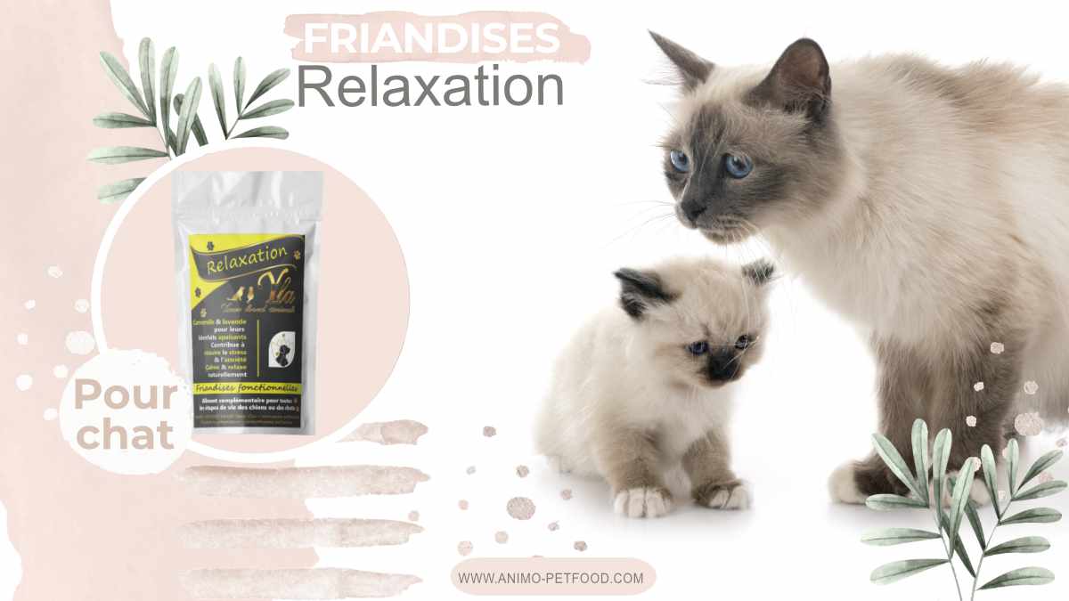 friandises-anti-stress-pour-chat