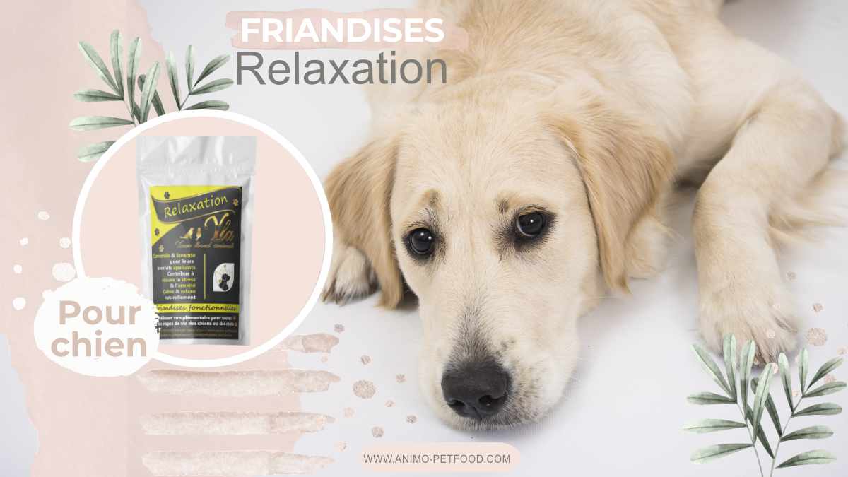 friandises-anti-stress-pour-chien