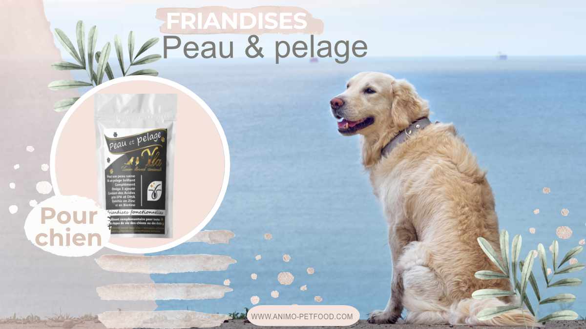 friandises peau et pelage pour chien 