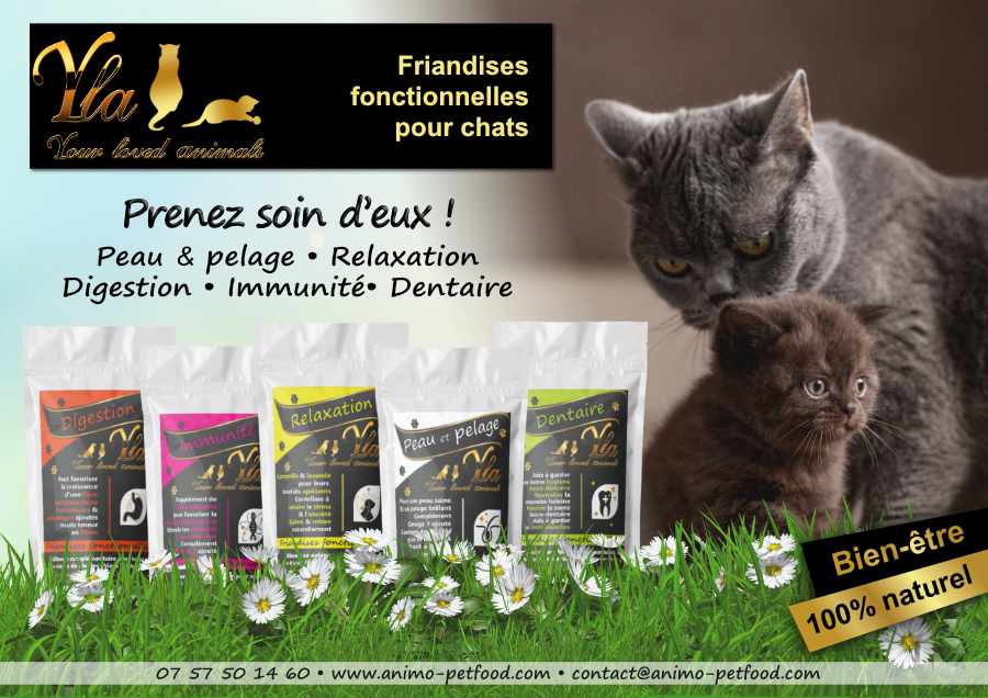 friandises-pour-chat-speciales-bien-etre