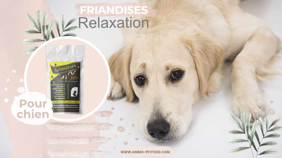 friandises-pour-chien-apaisantes