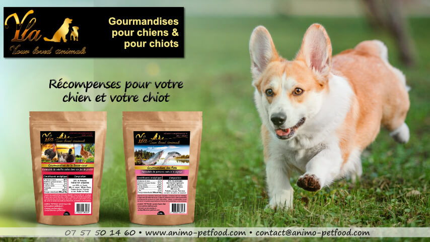 gourmandises pour chiens