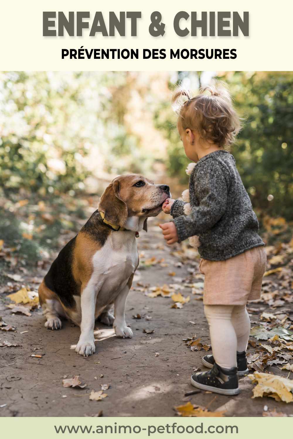 relation enfant chien-prévention des accidents par morsure