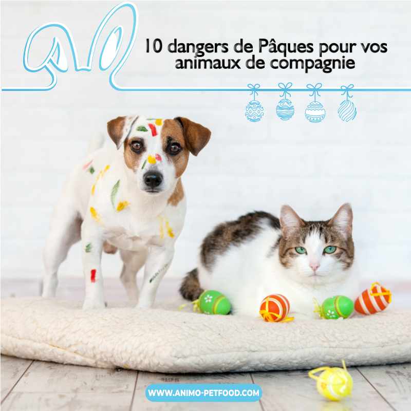 dangers de Pâques pour votre chien ou votre chat