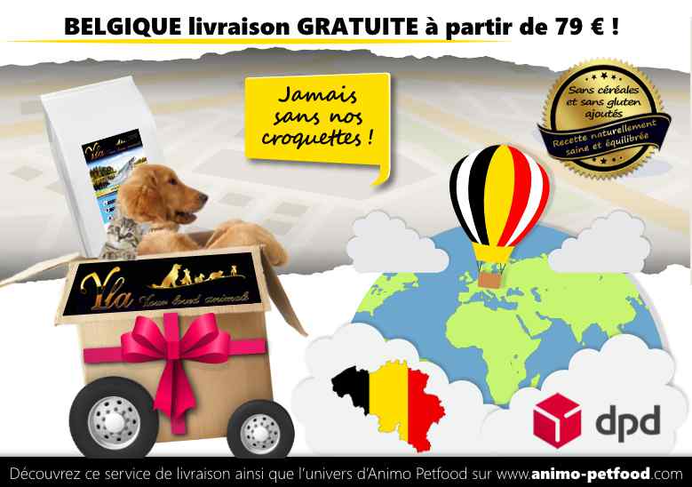 belgique-livraison-gratuite-de-croquettes-pour-chien-et-chat