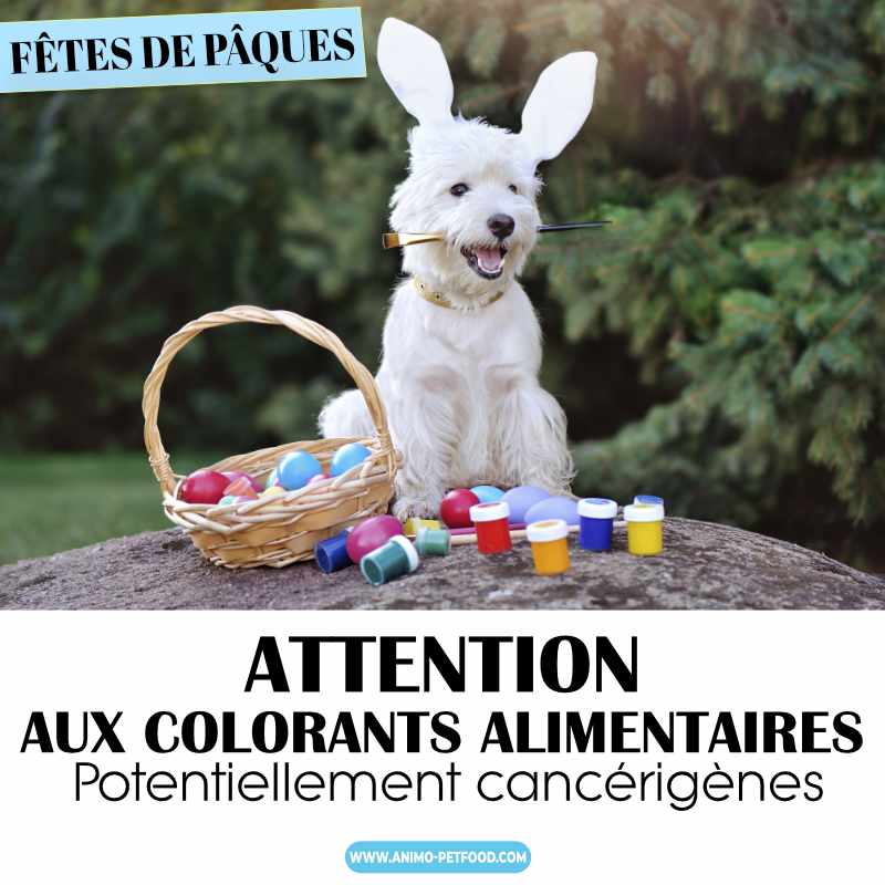 colorant cancérigène pour nos animaux