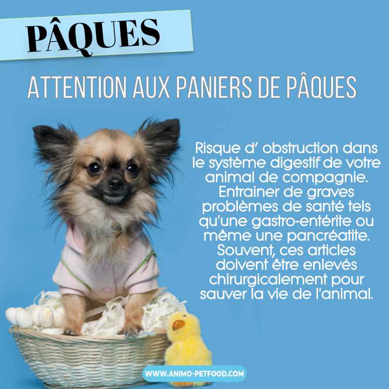 panier de pâques