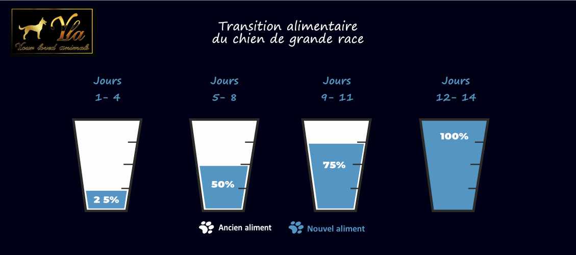 changement–de-nourriture-chien-grande-race