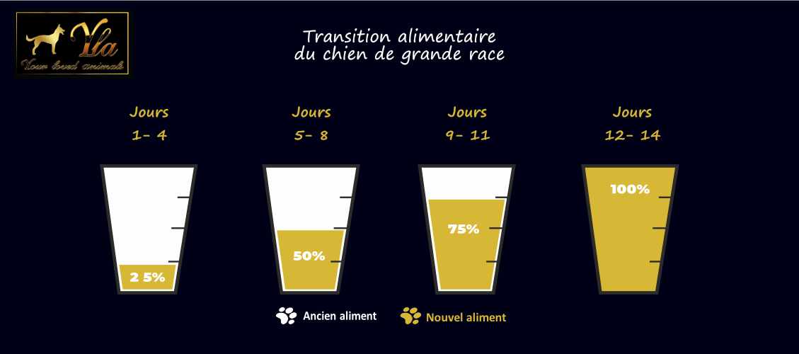 chien-changement-de-nourriture