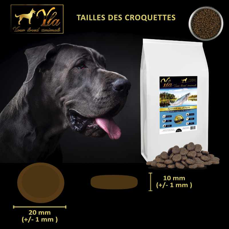 croquettes-au-poisson-pour-chien-avec-sensibilité-cutanee