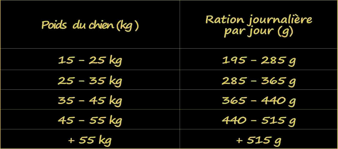 croquettes-sans-cereales-chien-adulte-grandes-races-ration
