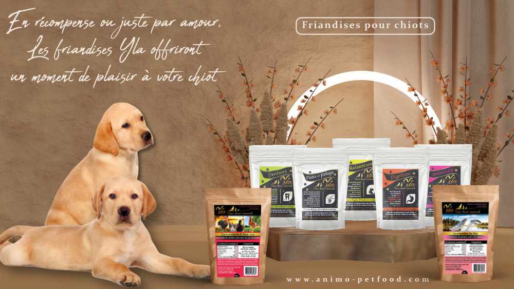 friandises naturelles pour chiot