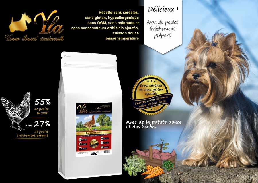 alimentation-sans-cereale-pour-petit-chien