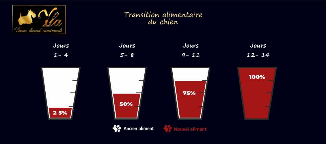 transition-alimentaire-petits-chiens
