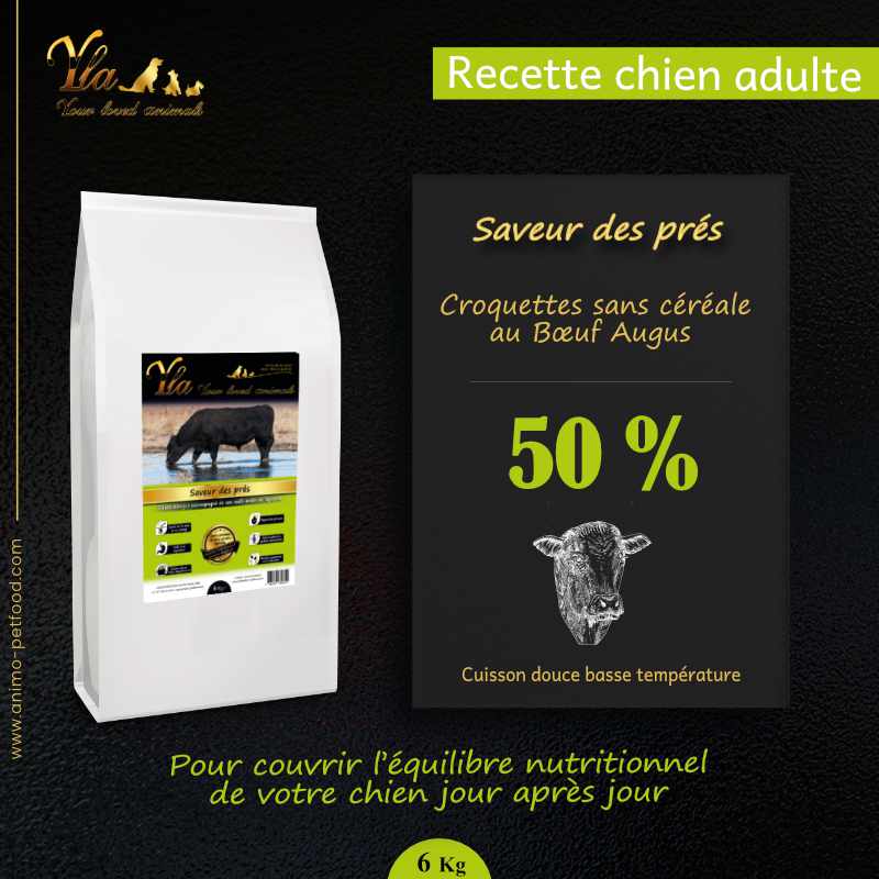 alimentation-chien-sans-cereale-ni-gluten-pour-problemes-de-digestion