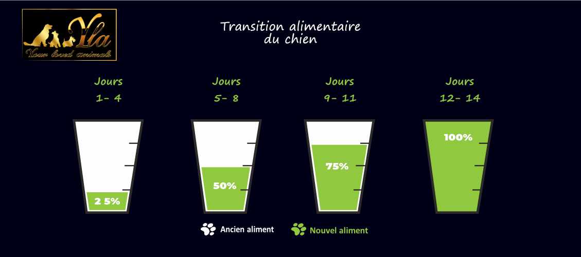 changement–de-nourriture-sans-cereale-chien