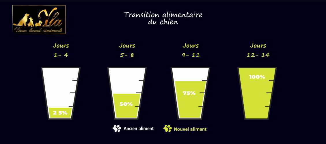 changement-de-croquette-chez-le-chien