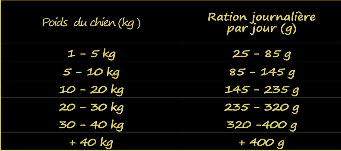 calculer-la-ration-de-croquettes-de-votre-chien