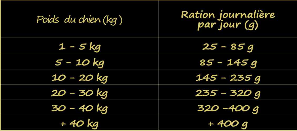 calcul-de-la-ration-alimentaire-du-chien