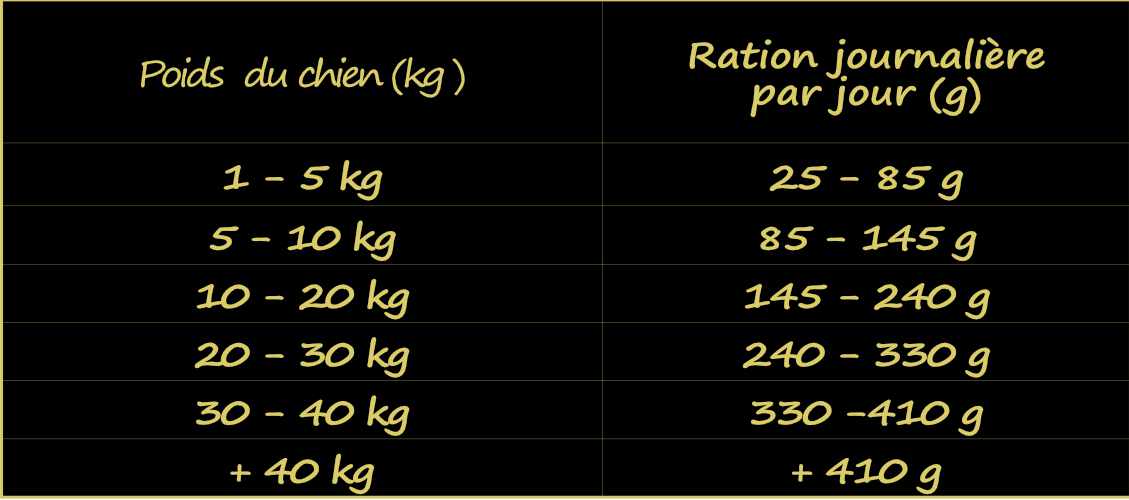 ration-guide-de-l-alimentation-du-chien