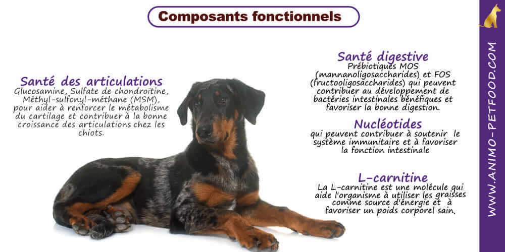 alimentation-du-chiot-complements