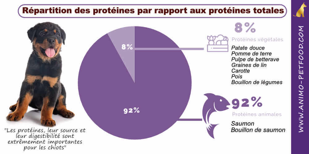 apport-en-proteines-pour-chiot