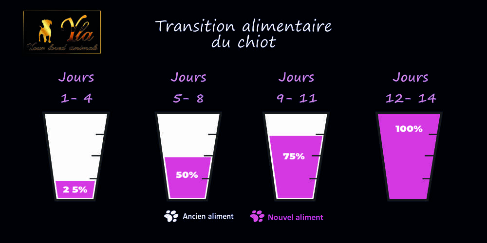 changement–de-nourriture-chiot