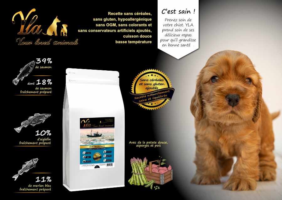 croquettes-sans-cereales-ni-gluten-aux-poissons-pour-chiot